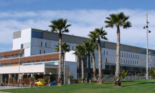 cap_cs_csi_consorci_sanitari_integral