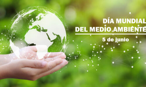 DíaMundialMedioAmbiente