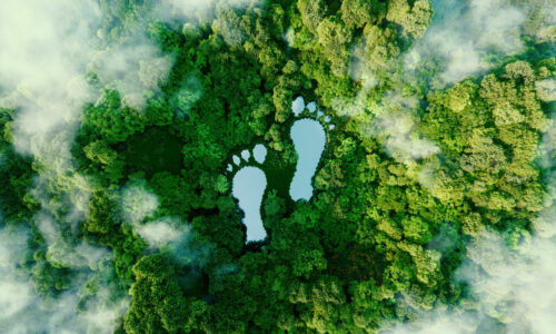 A lake in the shape of human footprints in the middle of a lush forest as a metaphor for the impact of human activity on the landscape and nature in general. 3d rendering.
