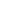 Analytic Services (3)