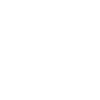 icon_data_security_&_governance_services_white