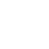 icon_securizacion icon_securizacion